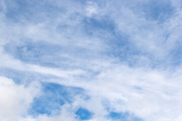 Obraz premium plumose clouds of the top tier in blue space of the sky
