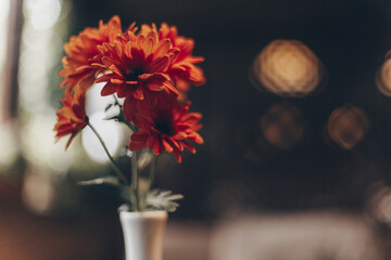 flower in vase