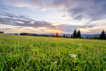 Sonnenuntergang im Schwarzwald