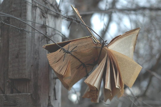 Open book hanging on a barbed wire fence
