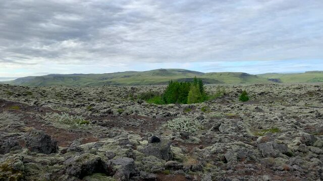 Landscape of hills with geological volcanic structure and developing plants, Iceland - (4K)
