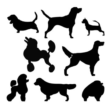 Black silhouettes of dogs on a white background collection. A set of vector illustrations monochrome