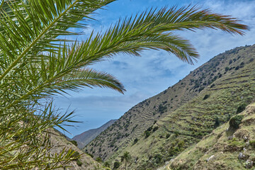 Panoramic landscape on La Gomera, Spain. Lonely landscape in La Gomera. Panoramic mountain landscape on the canary islands. Panoramic landscape with palm trees and terraced fields in La Gomera.