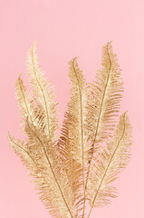 Luxury golden fern branch on soft light pastel pink background, vertical.