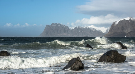 Fototapeta na wymiar Due to the warm Gulf Stream, Lofoten has a much milder climate than other parts of the world at the same latitude. 