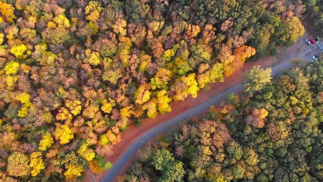 Road in the autumn forest aerial view