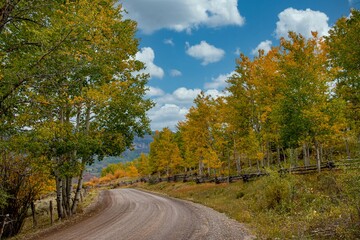 road in autumn