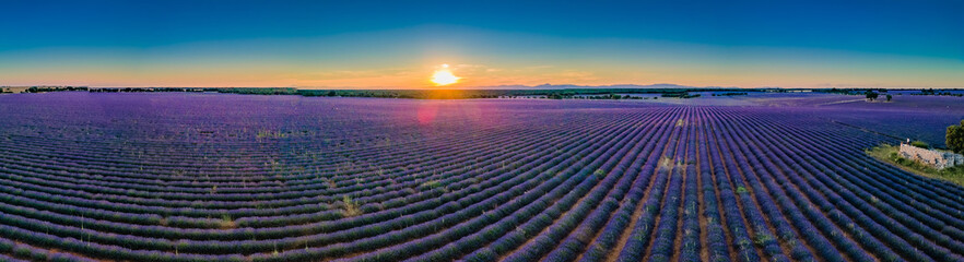 Sunset in a Lavender field