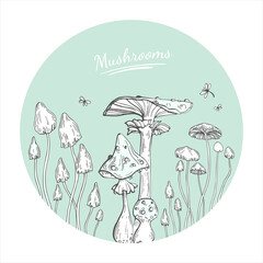toadstool Mushrooms card template, vector illustration