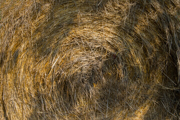 roll of hay close up