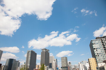 土佐堀川より望む大阪のビル群