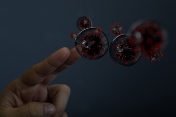 Virus denoted is single-stranded protection virus..