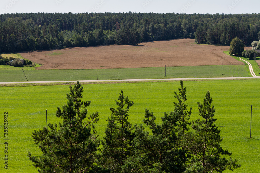 Wall mural rural scenery with green field and forest