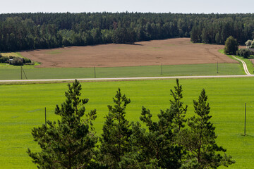 Rural scenery with green field and forest