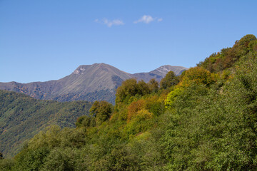 Georgian mountain tops behind autumn colored forest