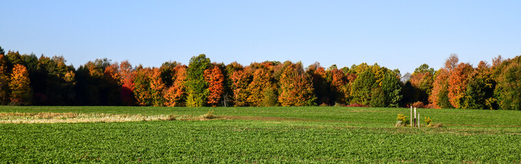 agricultural field in autumn