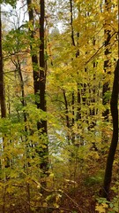 Polska Złota Jesień