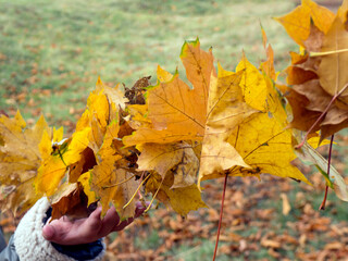 girl holding garland autumn yellow leaves