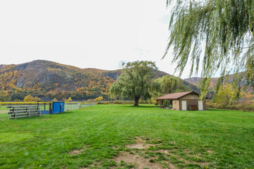 A park in the autumn 
