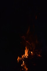 Ognisko płonące nocą - ciepły ogień