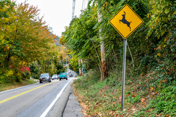 Deer sign on the road