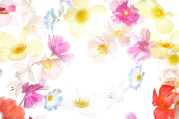 花のバックグラウンド