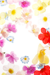 花のバックグラウンド