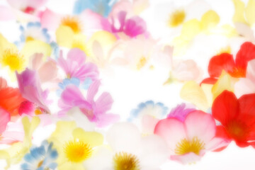 花のバックグラウンド