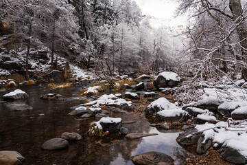 Sedona Oak Creek from Banjo Bill Picnic Site