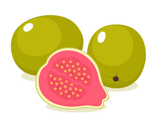 Tropical guava fruit, whole and half cut. Vector illustration.