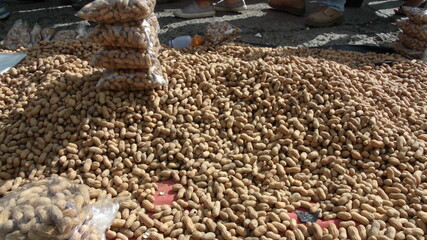 GEDSC DIGITAL CAMERA