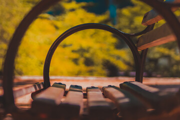 bench in the park