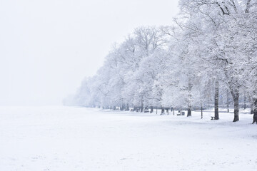 Cold frost and sunshine: day of wonder!
But you, my friend, are still in slumber