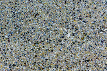 Background of the many sea shells. Natural pattern