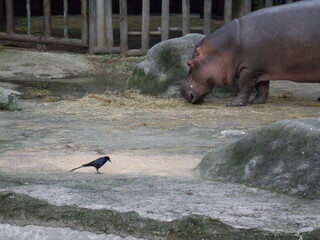 GEDSC DIGITAL CAMERA.