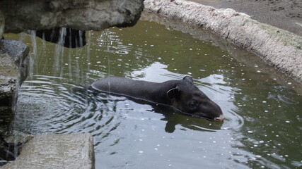 GEDSC DIGITAL CAMERA