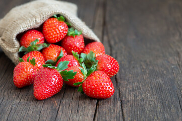 Fresh ripe harvested strawberries in burlap sack on wooden table, Garden summer fruit, strawberry, copy space ( Fragaria )