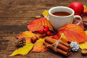 Naklejka na ściany i meble Hot tea with colorful autumn leaves, acorns, cinnamon and rosehip berries