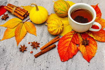Hot tea with colorful autumn leaves, acorns, cinnamon and rosehip berries