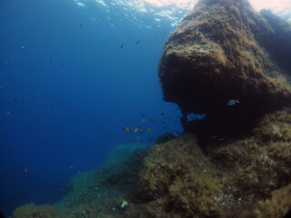 Scuba Diving Malta, Gozo and Comino