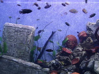 GEDSC DIGITAL CAMERA.