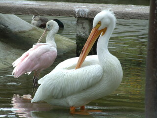 GEDSC DIGITAL CAMERA.