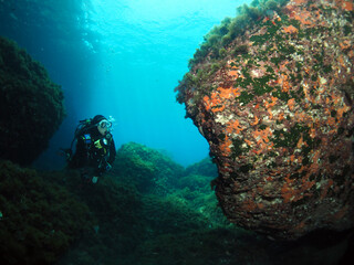 Scuba Diving Malta, Gozo and Comino