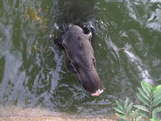 GEDSC DIGITAL CAMERA