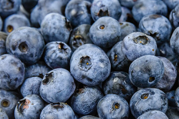 Background of the many blueberries. Healthy eating concept