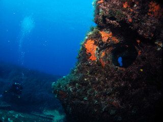 Scuba Diving Malta, Gozo and Comino
