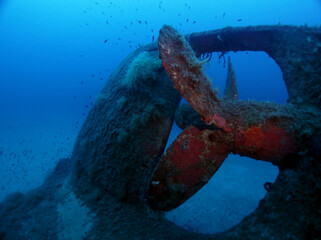 Scuba Diving Malta, Gozo and Comino