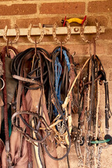 Horse accessories hung on horseshoes on the wall of the hut. Flanges arranged neatly in the...