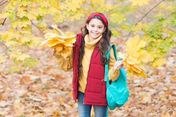 happy teenage child enjoying autumn forest with beautiful seasonal nature carry school bag and holding yellow fallen maple leaves arrangement, back to school