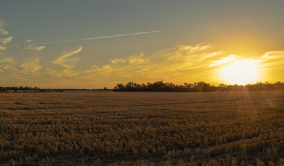 Panoramic sunset view from a farm in Australia 